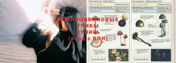 а пвп мука Козловка