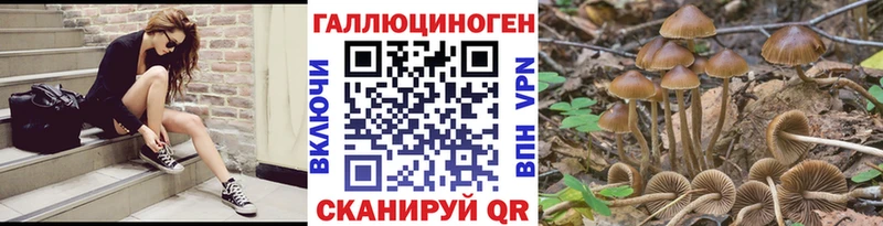 Псилоцибиновые грибы мухоморы Краснодар