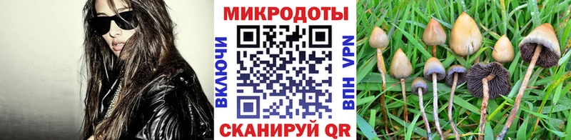 Купить закладки  Краснодар  Галлюциногенные грибы GOLDEN TEACHER 